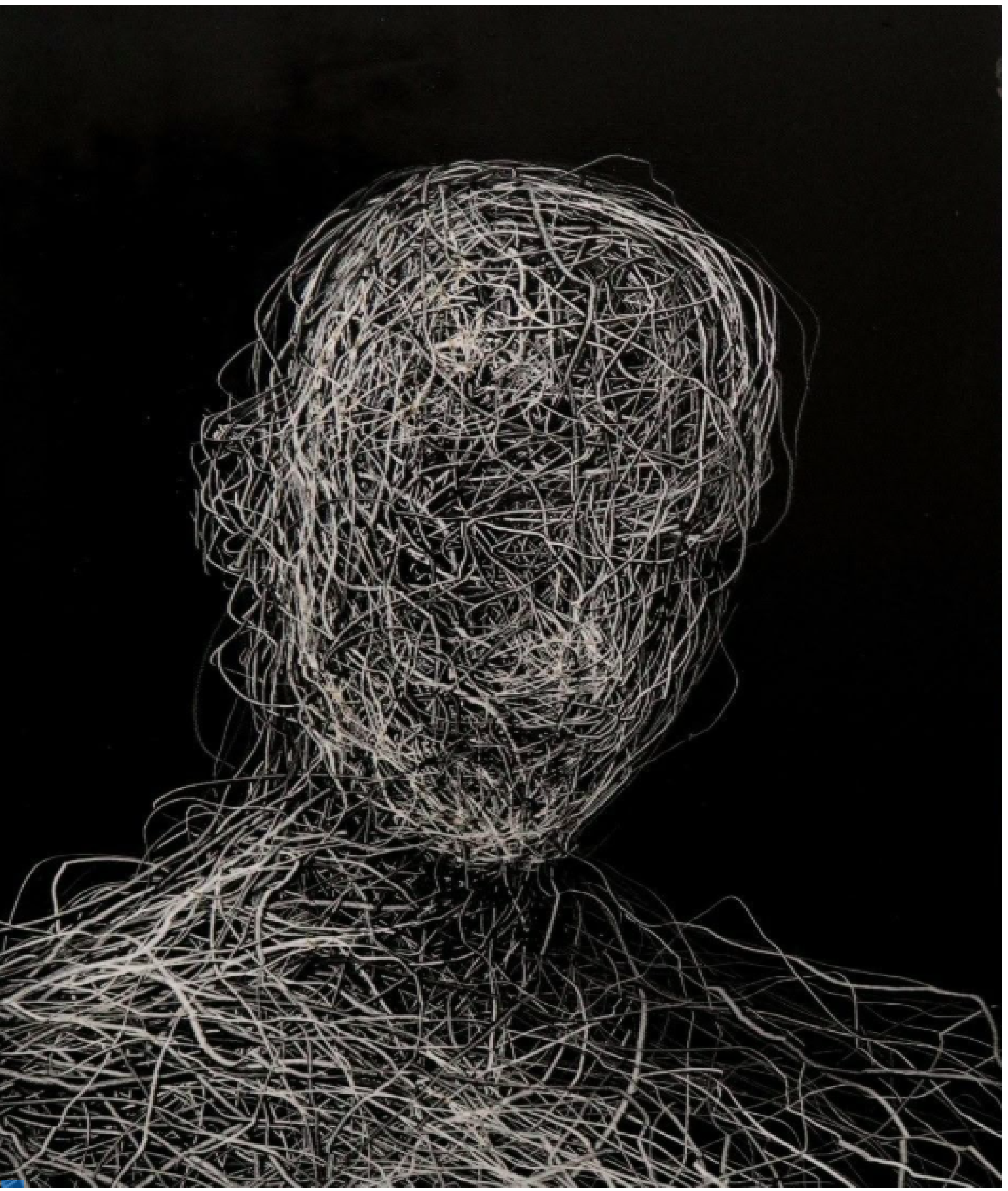 factores de riesgos psicosociales en las fuerzas públicas